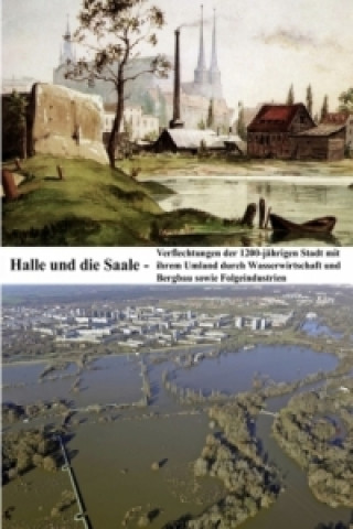 Kniha Halle und die Saale Christoph Ohlig