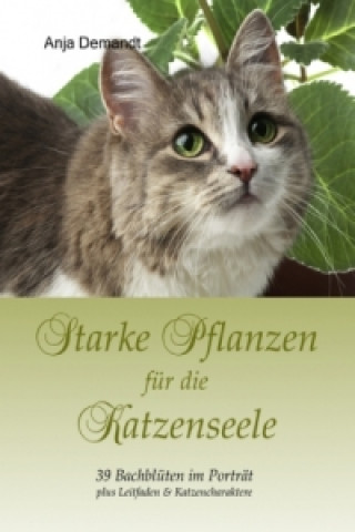 Kniha Starke Pflanzen für die Katzenseele Anja Demandt
