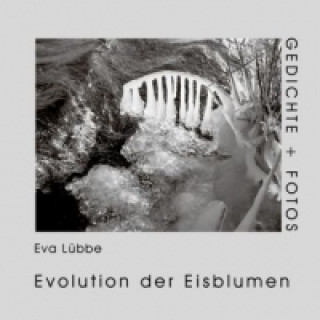 Carte Evolution der Eisblumen Eva Lübbe