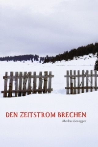 Livre Den Zeitstrom brechen Markus Isenegger