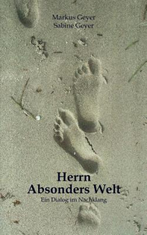Kniha Herrn Absonders Welt Markus Geyer
