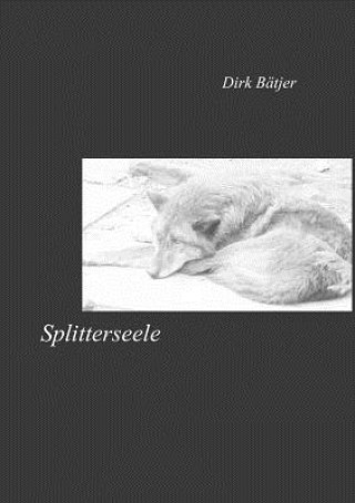 Kniha Splitterseele Dirk Bätjer