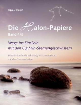 Kniha Halon-Papiere, Band 4/5 rixa
