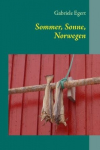 Könyv Sommer, Sonne, Norwegen Gabriele Egert