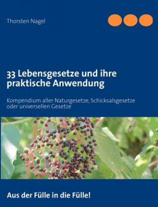 Książka 33 Lebensgesetze und ihre praktische Anwendung Thorsten Nagel