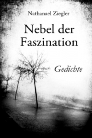 Book Nebel der Faszination Nathanael Ziegler