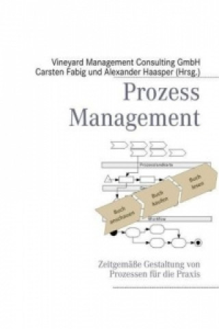 Kniha Prozessmanagement Carsten Fabig