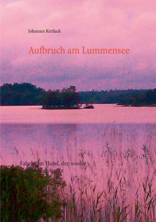 Buch Aufbruch am Lummensee Johannes Kettlack