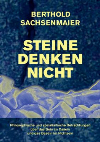 Книга Steine Denken Nicht Berthold Sachsenmaier