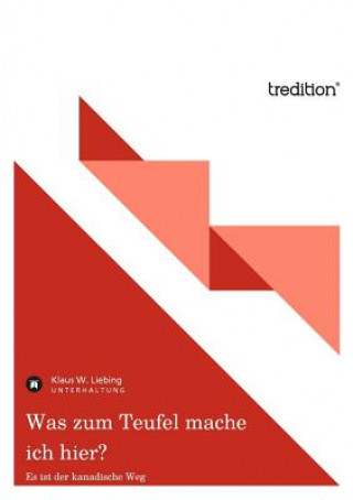 Knjiga Was Zum Teufel Mache Ich Hier? Klaus W. Liebing