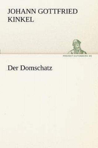 Buch Domschatz Johann Gottfried Kinkel