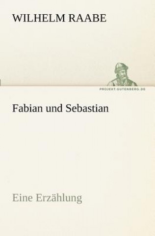 Kniha Fabian Und Sebastian Wilhelm Raabe