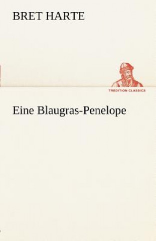 Kniha Eine Blaugras-Penelope Bret Harte