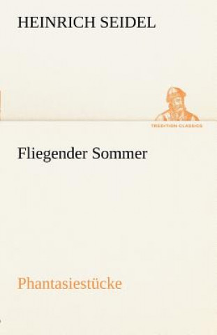 Книга Fliegender Sommer Heinrich Seidel