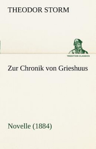 Buch Zur Chronik Von Grieshuus Theodor Storm