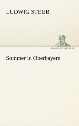 Kniha Sommer in Oberbayern Ludwig Steub