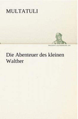 Libro Abenteuer Des Kleinen Walther ultatuli