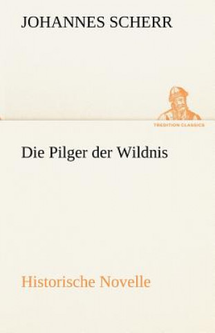 Kniha Pilger Der Wildnis Johannes Scherr