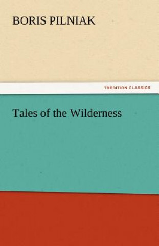 Kniha Tales of the Wilderness Boris Pilniak