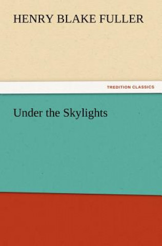 Knjiga Under the Skylights Henry Blake Fuller