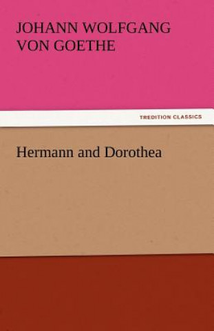 Kniha Hermann and Dorothea Johann W. von Goethe