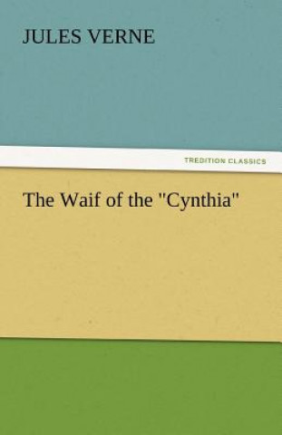 Buch Waif of the Cynthia Jules Verne