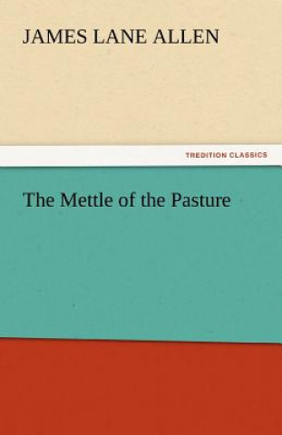 Kniha Mettle of the Pasture James Lane Allen