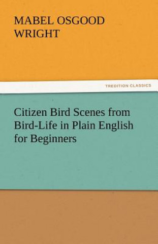 Carte Citizen Bird Scenes from Bird-Life in Plain English for Beginners Mabel Osgood Wright