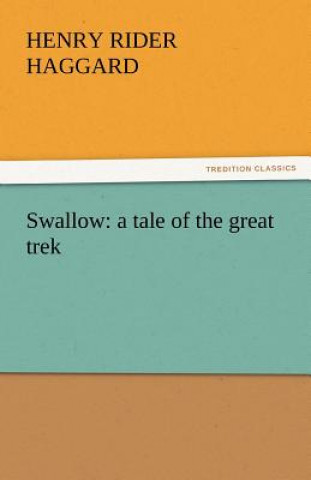 Kniha Swallow Henry Rider Haggard