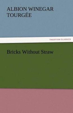 Carte Bricks Without Straw Albion Winegar Tourgée