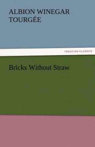 Livre Bricks Without Straw Albion Winegar Tourgée