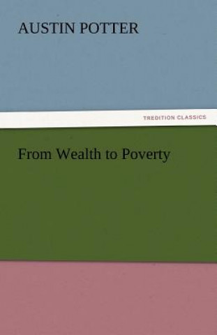 Könyv From Wealth to Poverty Austin Potter