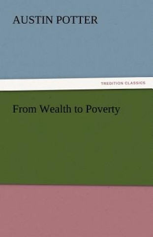 Knjiga From Wealth to Poverty Austin Potter