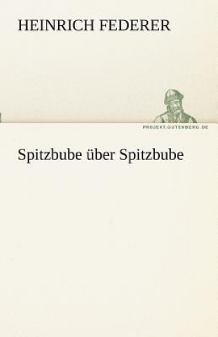 Kniha Spitzbube Uber Spitzbube Heinrich Federer