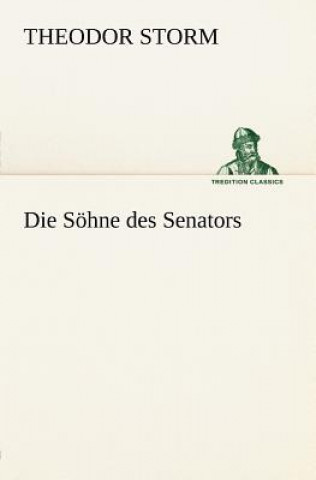 Książka Sohne Des Senators Theodor Storm