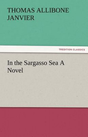 Kniha In the Sargasso Sea a Novel Thomas A. (Thomas Allibone) Janvier