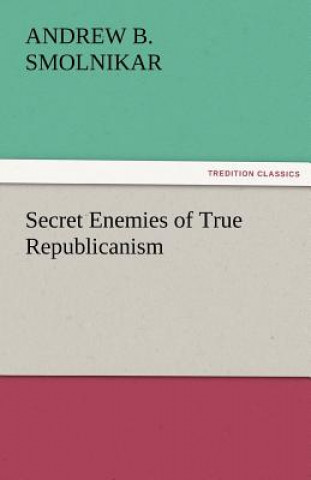 Könyv Secret Enemies of True Republicanism Andrew B. Smolnikar