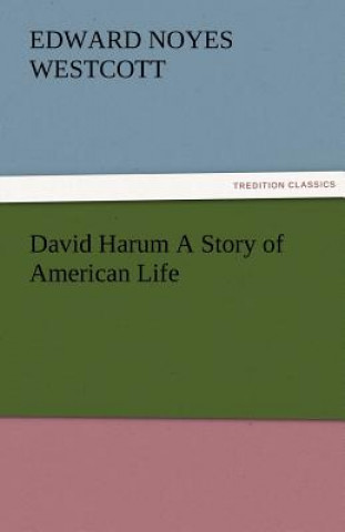 Book David Harum A Story of American Life Edward Noyes Westcott