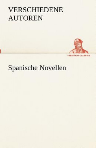 Book Spanische Novellen erschiedene Autoren