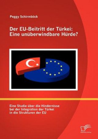 Buch EU-Beitritt der Turkei Peggy Schirmböck