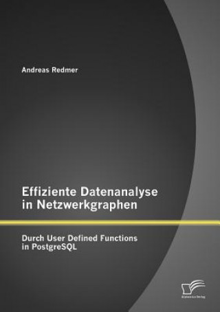 Kniha Effiziente Datenanalyse in Netzwerkgraphen Andreas Redmer