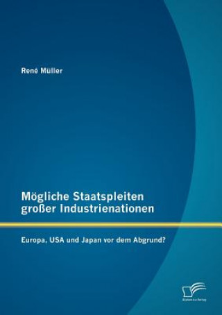 Könyv Moegliche Staatspleiten grosser Industrienationen René Müller