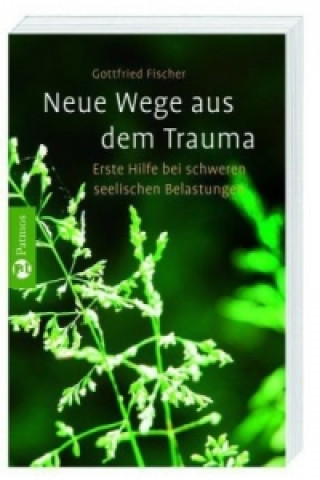 Livre Neue Wege aus dem Trauma Gottfried Fischer