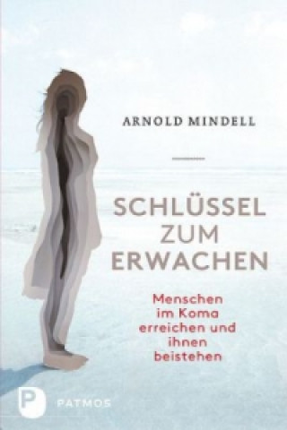 Könyv Schlüssel zum Erwachen Arnold Mindell
