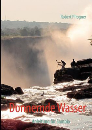 Kniha Donnernde Wasser Robert Pfrogner