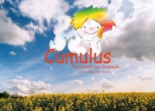 Könyv Cumulus Tina Hendricks-Sadowski