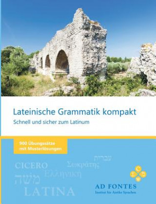 Kniha Lateinische Grammatik kompakt Lucius Annaeus Senecio