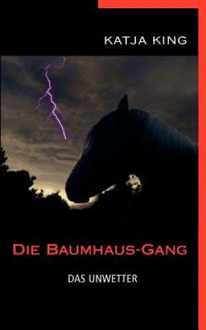 Könyv Baumhaus-Gang - Das Unwetter Katja King