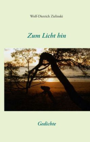 Boek Zum Licht hin Wolf-Dietrich Zielinski