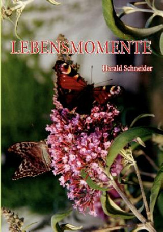 Livre Lebensmomente Harald Schneider